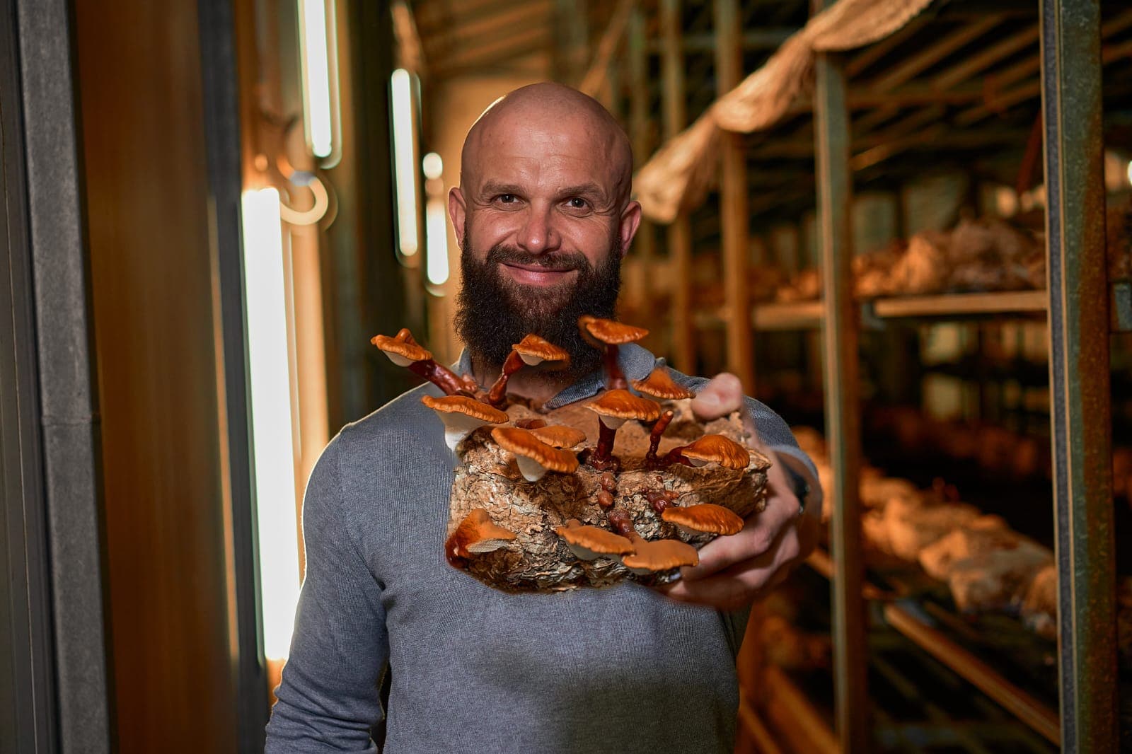 Cezary Szewczuk, COO of Mushroom Empire, holding a fresh Reishi (Ganoderma lucidum) fruiting body in the cultivation hall — Lublin region, Poland.